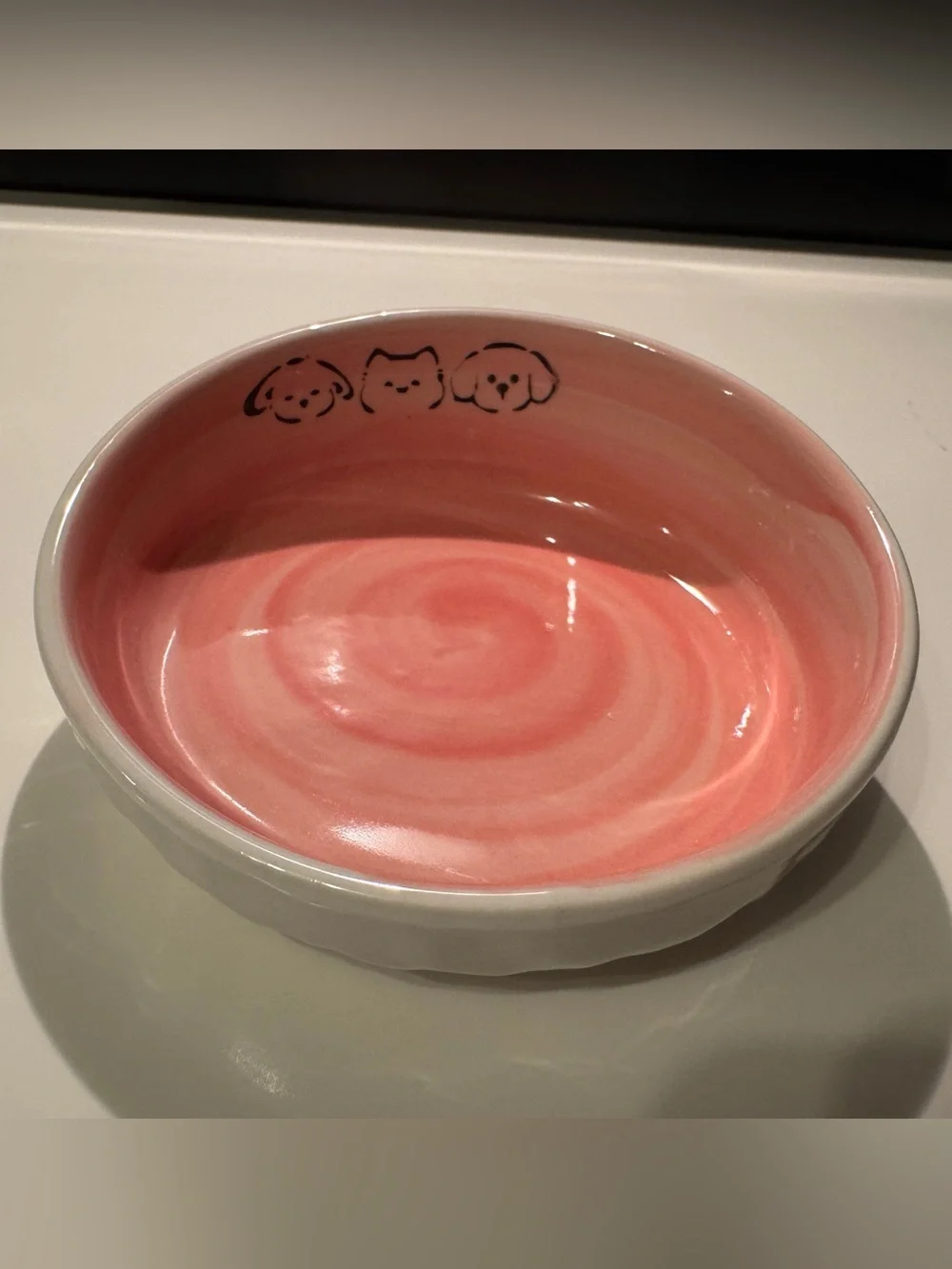 Tilted Pet Food Bowl